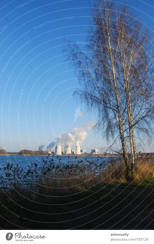 Energielandschaft Stromkraftwerke Natur Baum Birke Wasser See Landschaft Energiewirtschaft Idylle Industrie Lausitz Elektrizität Braunkohle Cottbus Landmark