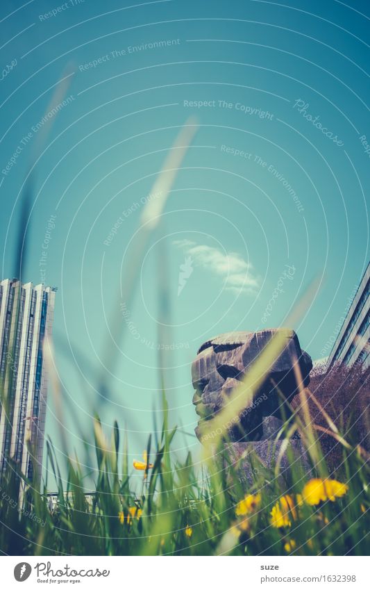 Undercover-Karl Kopf Skulptur Umwelt Natur Frühling Blume Blüte Wiese Stadt Stadtzentrum Platz Bauwerk Architektur Sehenswürdigkeit Wahrzeichen Denkmal Stimmung