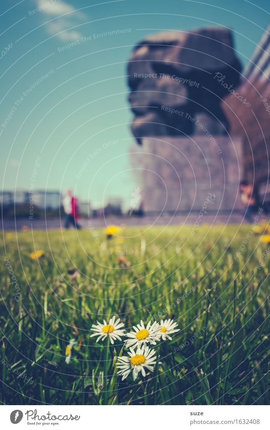 Karl im Lenz Umwelt Natur Frühling Blume Blüte Wiese Stadt Stadtzentrum Platz Bauwerk Architektur Sehenswürdigkeit Wahrzeichen Denkmal grün Stimmung