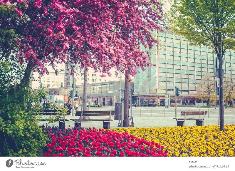 Florierende Stadt Lifestyle kaufen Duft Städtereise Haus Kultur Umwelt Pflanze Frühling Baum Blüte Stadtzentrum Platz Gebäude Architektur Straße Straßenkreuzung