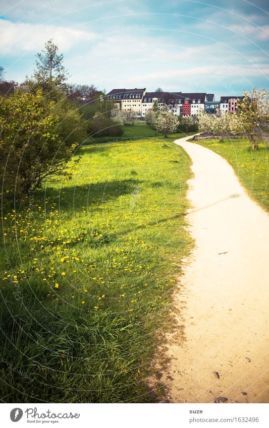 Heimweg Haus Umwelt Frühling Sträucher Stadtrand Wachstum Wandel & Veränderung Wege & Pfade Ziel Wiese Chemnitz Sachsen Fußweg Idylle