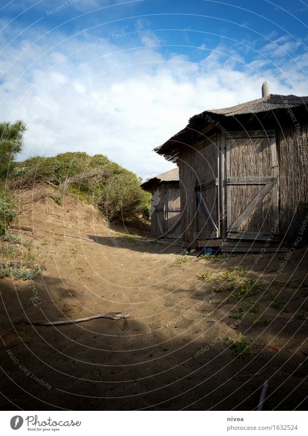 strandhütte Umwelt Natur Landschaft Pflanze Tier Sand Himmel Wolken Frühling Sommer Schönes Wetter Küste Hütte Holz entdecken Erholung Ferien & Urlaub & Reisen