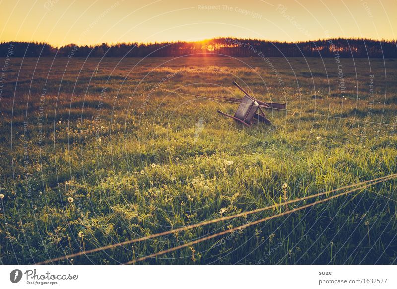 Fahrerflucht Sommer Landwirtschaft Forstwirtschaft Umwelt Natur Landschaft Gras Wiese Feld alt grün Stimmung Romantik Idylle Nostalgie Vergangenheit