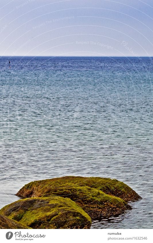 Felsen Meer Himmel Ferien & Urlaub & Reisen Tourismus Freiheit Sonne Strand Wellen Natur Schönes Wetter Nordsee Ostsee Erholung Blick Ferne maritim blau grün