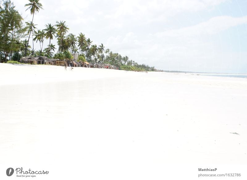 Zanzibar - Weißer Traumstrand in Afrika Ferien & Urlaub & Reisen Tourismus Freiheit Sommer Sommerurlaub Strand Insel Umwelt Landschaft Sonne Schönes Wetter Meer