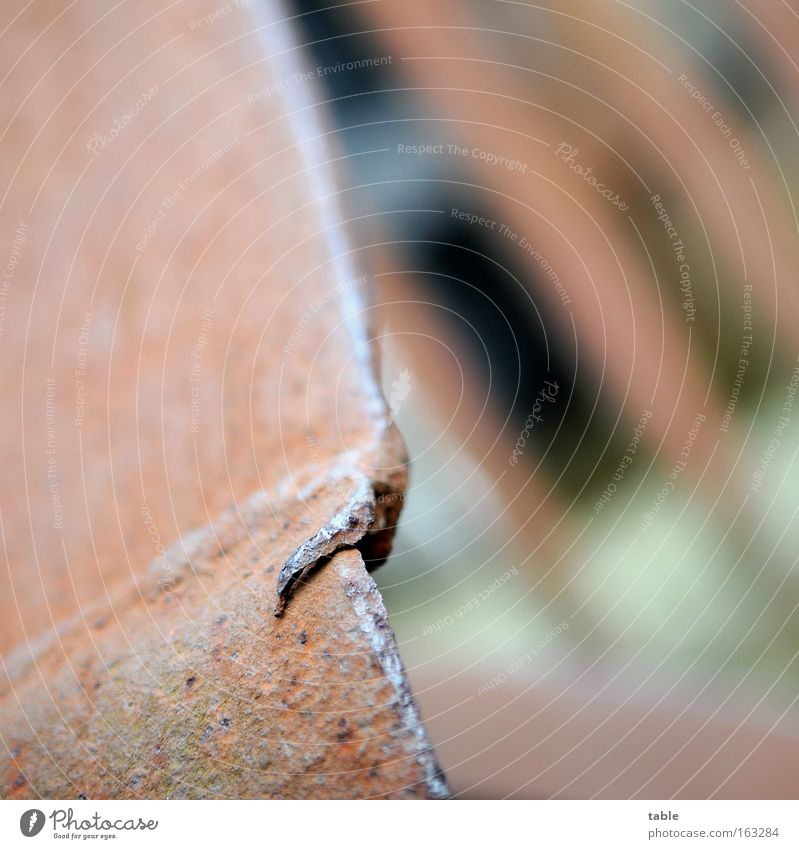 Kante Farbfoto Gedeckte Farben Nahaufnahme Makroaufnahme Menschenleer Starke Tiefenschärfe Baustelle Handwerk Metall Stahl Rost alt eckig kalt braun grün