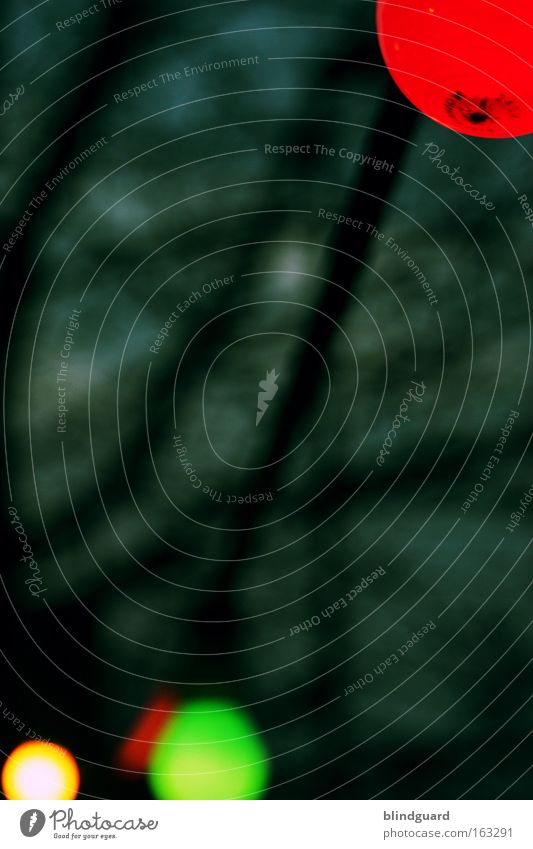 Summerlights mehrfarbig Außenaufnahme Textfreiraum Mitte Abend Nacht Licht Blick nach oben Freude Sommer Lampe Veranstaltung Technik & Technologie Wärme Baum