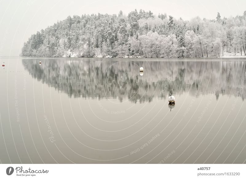 Weinlese-Winter-Märchenland Schweden Wald ekero Baum Temperatur Jahreszeiten Landschaft fließen Niedrigwasser Frost Schnee Wasser Winterwald Dezember