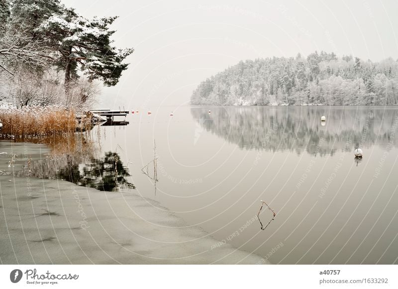 Weinlese-Winter-Märchenland Schweden Wald ekero Baum Temperatur kalt Jahreszeiten Landschaft fließen Niedrigwasser Frost Schnee Wasser Winterwald Dezember