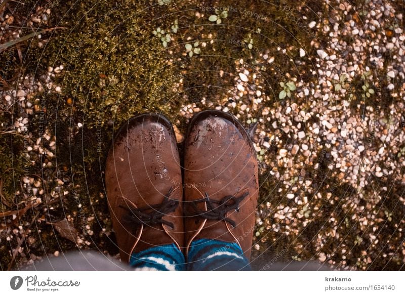 shoes Pflanze Grünpflanze Moos Schuhe Boden braun einfach retro Farbfoto Außenaufnahme Menschenleer Tag Schwache Tiefenschärfe Vogelperspektive