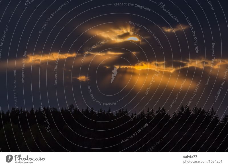 Da oben ist noch Licht an Umwelt Landschaft Luft Himmel Wolken Gewitterwolken Sonne Sonnenaufgang Sonnenuntergang Klima Wetter schlechtes Wetter gold grau