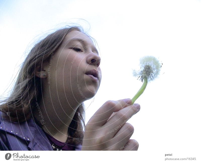 Flieg... Hand Löwenzahn blasen Kind Gesicht Pustenblume Samen verwehen forttragen Wind