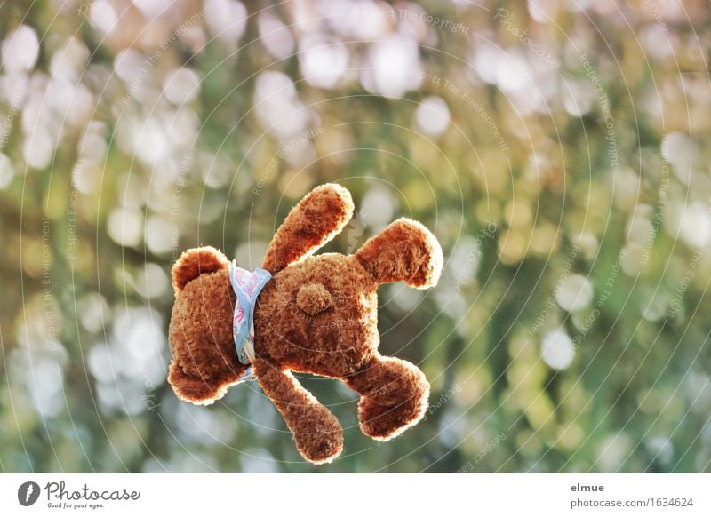 Teddy Per als Wirbelwind Spielen Ferien & Urlaub & Reisen Natur Park Teddybär Stofftiere Flugzeug Schwerkraft Bewegung fliegen springen kuschlig oben sportlich