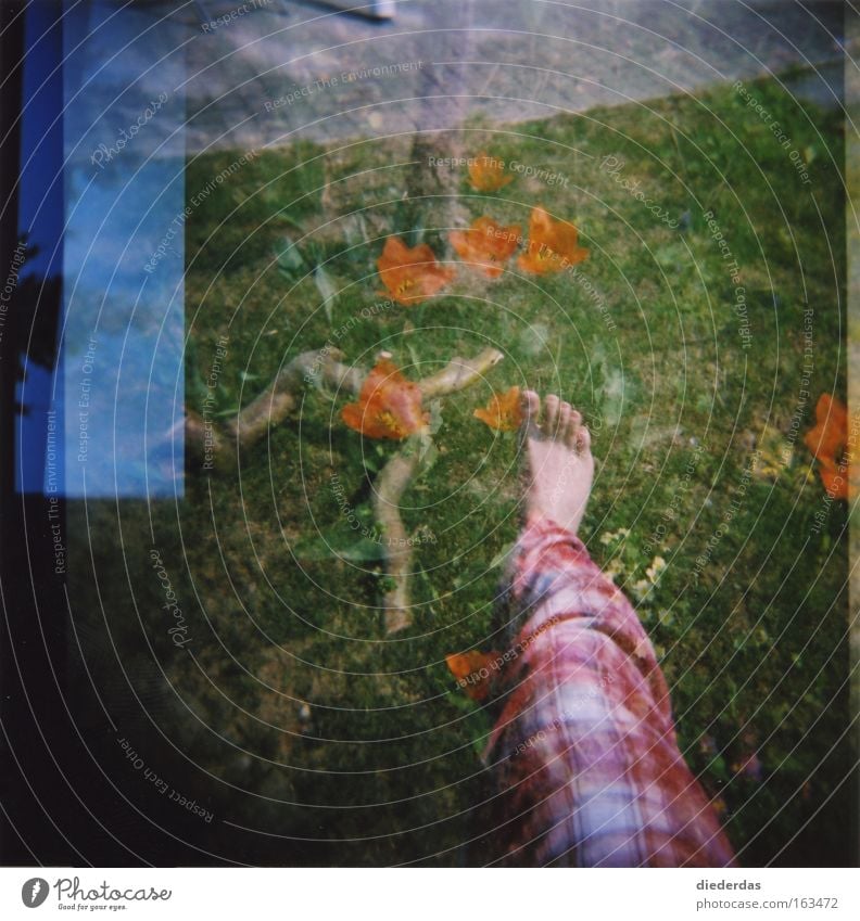 Guten Morgen Natur Lomografie Rasen Beine Blume Himmel Holga-Kamera Mehrfachbelichtung Irritation