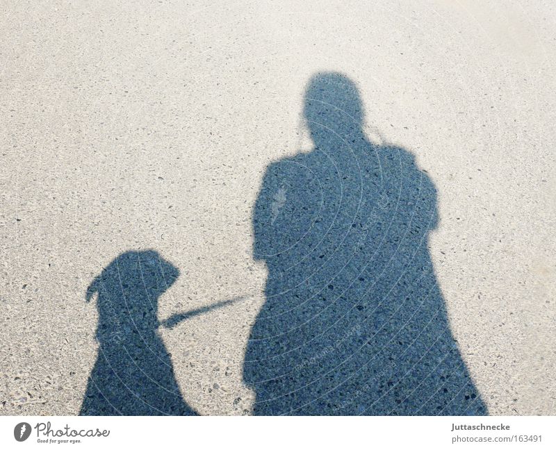 Herr und G´scher Schatten Silhouette Hund Mensch Gassi gehen Spaziergang angeleint auslaufen Kommunizieren Säugetier Seil paarweise Doppelpack Tierhalter