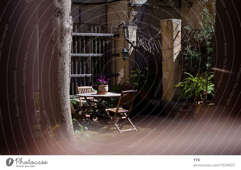 Backyard Pflanze Schönes Wetter Garten Kleinstadt Altstadt Menschenleer Traumhaus Gebäude Mauer Wand Terrasse Zufriedenheit entdecken Erholung