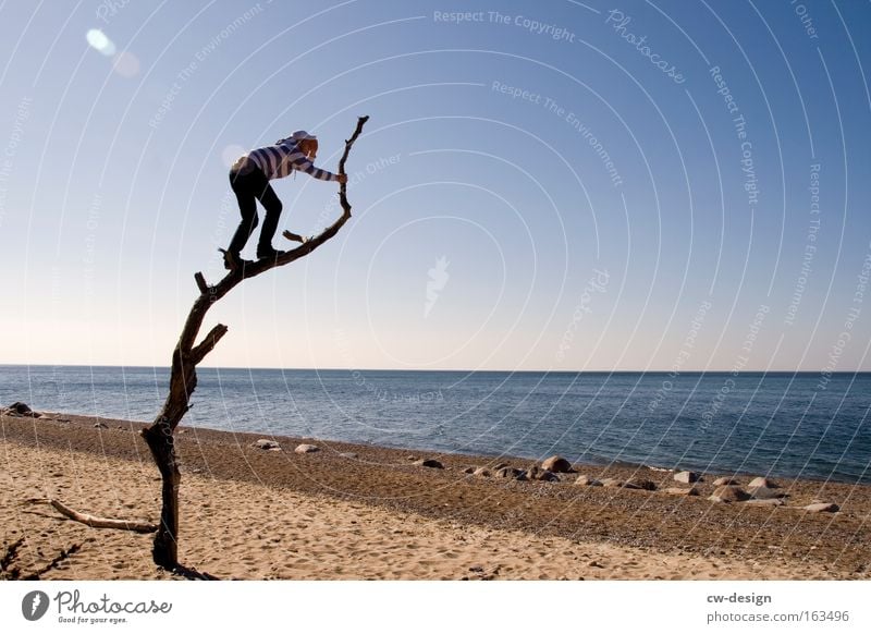 Die Aussichten für die kommende Woche Sommer Strand Meer Mensch Mann Erwachsene Jugendliche Umwelt Natur Landschaft Sand Wasser Wolkenloser Himmel Sonnenlicht