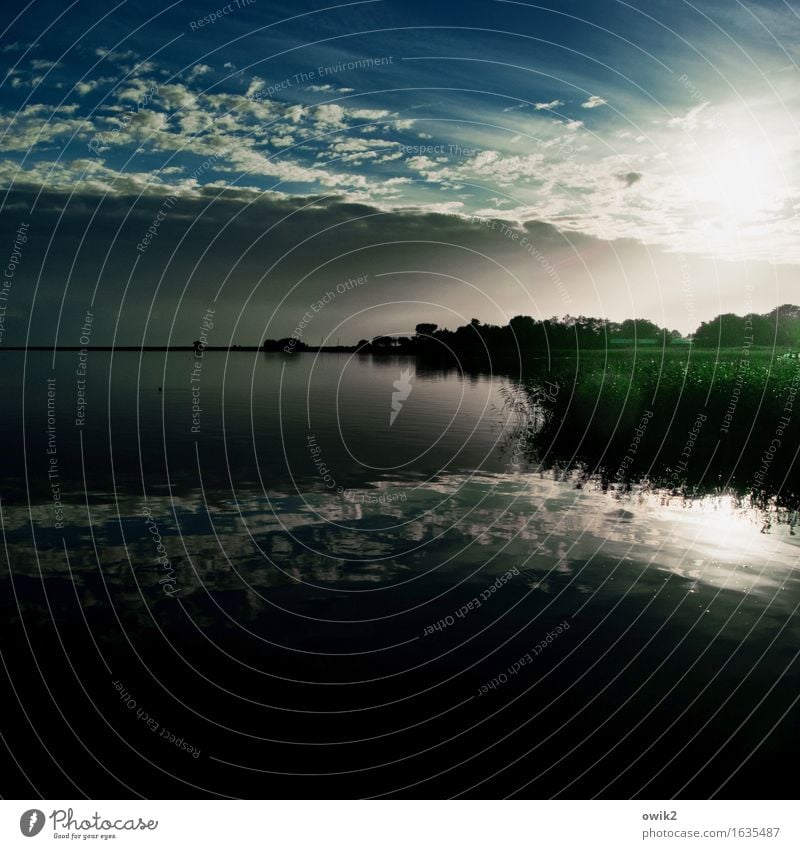 Weiter Himmel Ferne Freiheit Umwelt Natur Landschaft Wasser Wolken Horizont Klima Schönes Wetter Pflanze Gras Sträucher Küste Darß