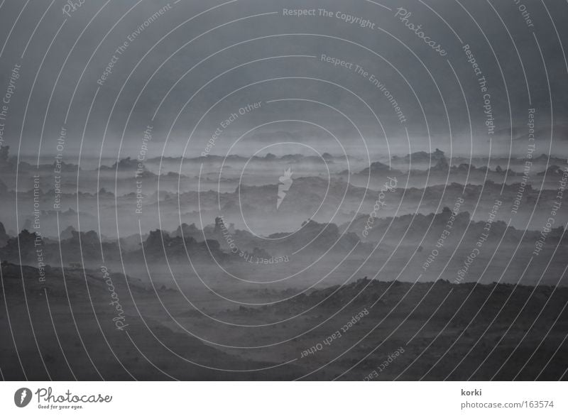 Nebel Farbfoto Gedeckte Farben Außenaufnahme Morgendämmerung Silhouette Ferien & Urlaub & Reisen Ausflug La Réunion Natur Landschaft Urelemente Felsen