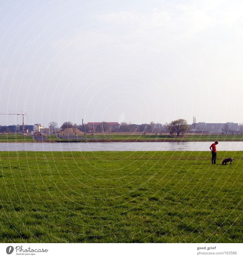 suche [DD|Apr|09] Dresden Wasser Elbe Fluss Wiese Gras Hund Mensch Mann Kran tia view7 Sommer Frühling usertreffen