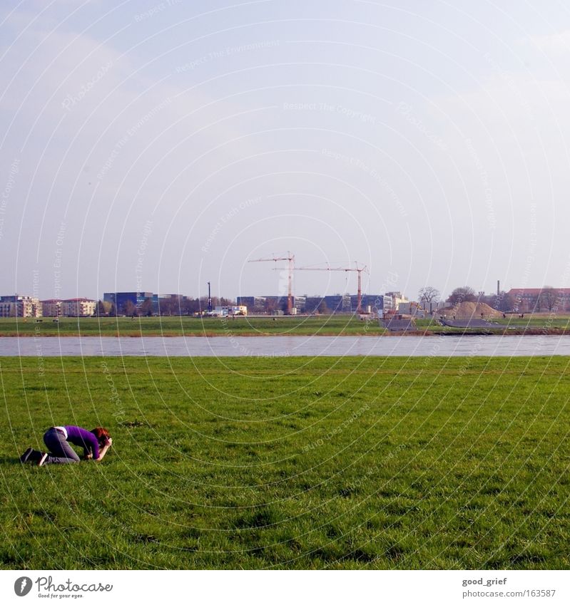 [DD|Apr|09] Motiv- Wiese Dresden Gras Elbe Fluss Kran Fotografieren Jo.Sephine Knie knien Hinterteil Gesäß Himmel Sommer Sonne Frühling usertreffen