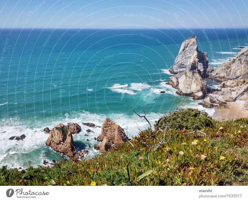 praia da urs Natur Landschaft Pflanze Frühling Sommer Sträucher Felsen Küste Meer Gefühle Stimmung Portugal Sintra Strand Reisefotografie Urlaubsfoto