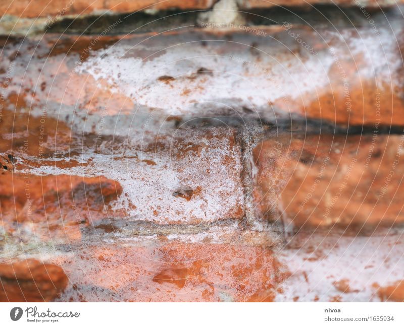 Backstein 1 Haus Bauwerk Gebäude Mauer Wand Fassade Stein Sand Beton Linie bauen rot weiß Schutz Geborgenheit Zusammenhalt Farbfoto Außenaufnahme Detailaufnahme