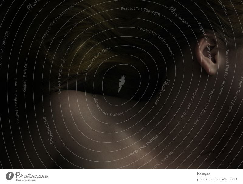 Rechts nur ein Ohr Mensch feminin Junge Frau Jugendliche Erwachsene Körper Haut Kopf Haare & Frisuren 1 18-30 Jahre schlafen ästhetisch blond authentisch schön