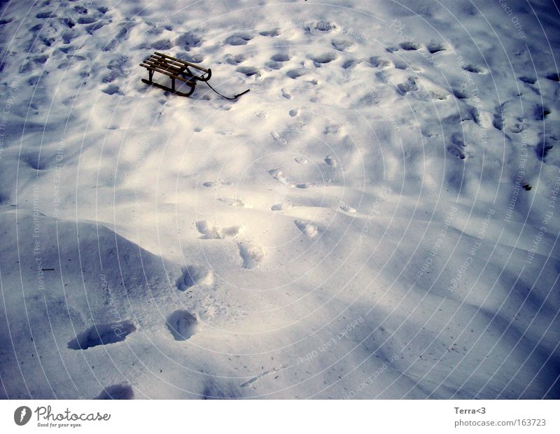 Winterwonderland Farbfoto Außenaufnahme Menschenleer Textfreiraum links Morgendämmerung Dämmerung Licht Schatten Kontrast Schnee Winterurlaub Schlitten