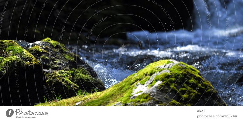 Bach Wasserfall Wildbach weich Fluss Schwarzwald Stein Moos Felsen grün schwarz Panorama (Bildformat) Gebirgsfluß Wildwasser