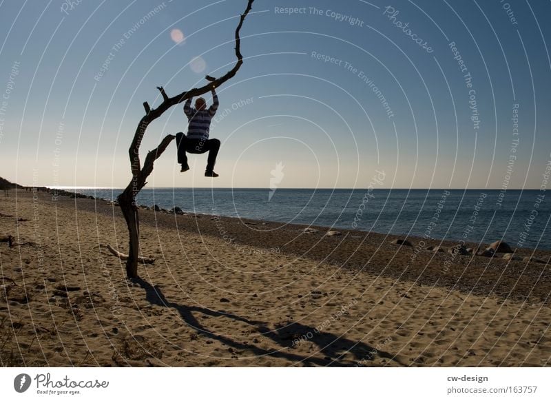 Upgrade aktiviert Mensch Baum Strand Einsamkeit Aussicht Wasser See Baumstamm Klettern aufsteigen Hochsitz trist Ödland Sommer kahl Mann Küste Meer Erholung