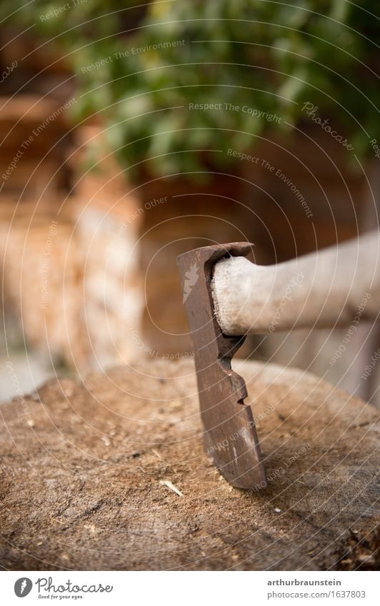 Holzhacke steckt im Baumstamm Freizeit & Hobby heimwerken Haus Gartenarbeit Landwirtschaft Forstwirtschaft Handwerk Energiewirtschaft Umwelt Sommer Pflanze Efeu