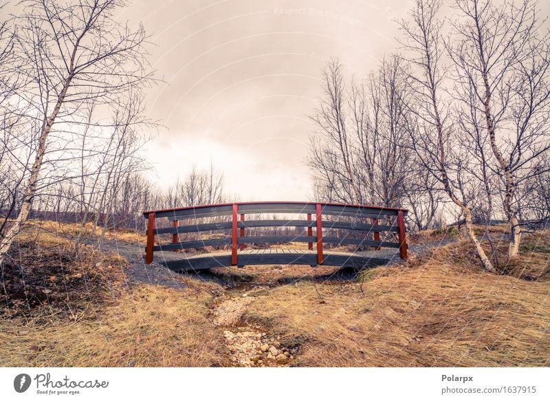 Trockener Flussstrom mit einer kleinen eleganten Brücke schön ruhig Garten Umwelt Natur Landschaft Himmel Wolken Herbst Baum Gras Park Bach Architektur