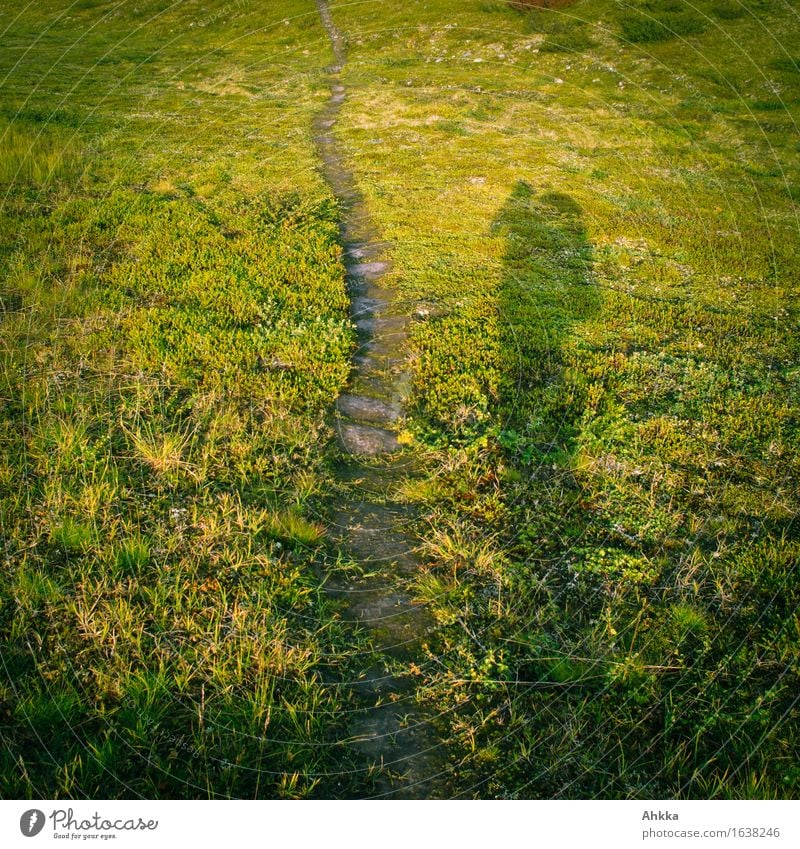 Irrwege II Ferien & Urlaub & Reisen Ausflug Abenteuer Freiheit Berge u. Gebirge wandern Mensch 1 Natur Landschaft Gras Fußgänger Wege & Pfade grün Beginn