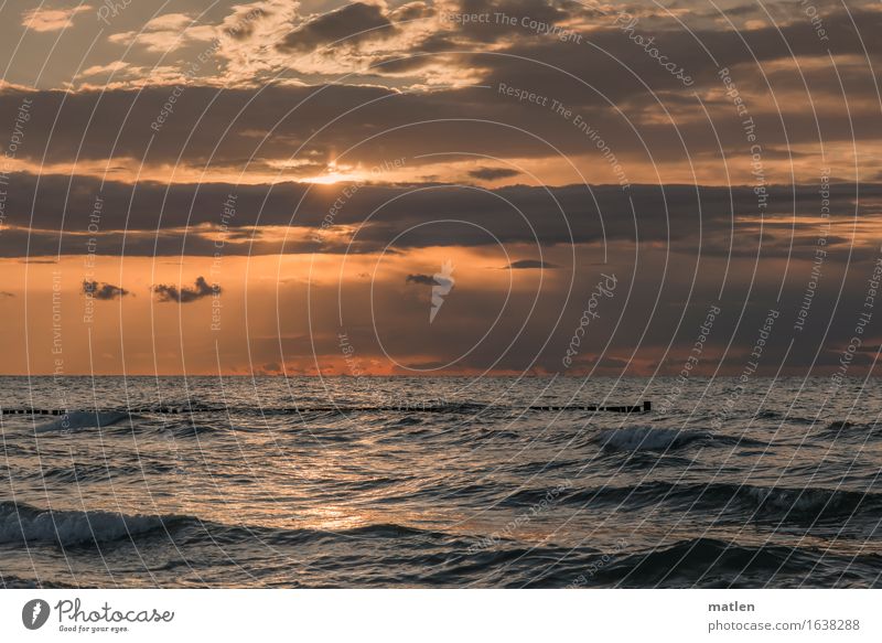 letzte Strahlen Natur Landschaft Himmel Wolken Sonnenaufgang Sonnenuntergang Frühling Wetter Schönes Wetter Wellen Küste Ostsee blau gold orange Holzpfahl