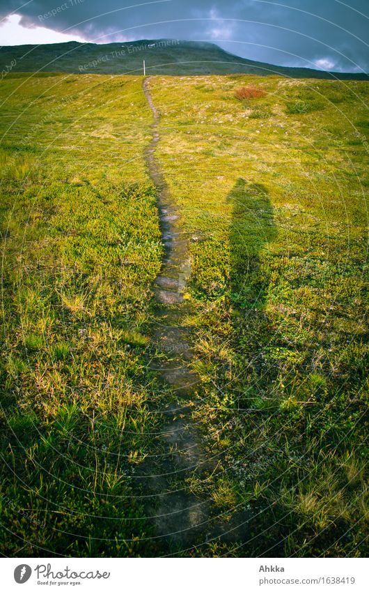 Pfad wandern Natur Wiese Berge u. Gebirge Straße Wege & Pfade Fußweg Pfadfinder groß unten grün Beginn Entschlossenheit Zukunft Farbfoto Außenaufnahme