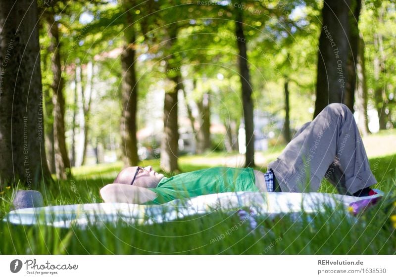 auftanken Mensch maskulin Junger Mann Jugendliche 1 18-30 Jahre Erwachsene Umwelt Natur Pflanze Baum Gras Park Wiese Wald liegen grün Freude Glück Zufriedenheit