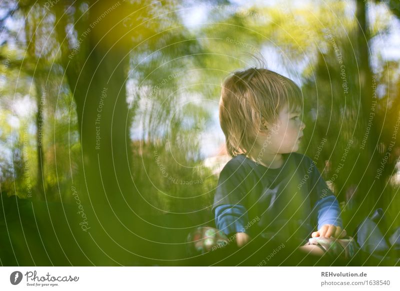 picknick Mensch Kind Kleinkind Junge 1 1-3 Jahre Umwelt Natur Landschaft Pflanze Sommer Baum Park Wiese sitzen grün Freude Glück Zufriedenheit Verantwortung