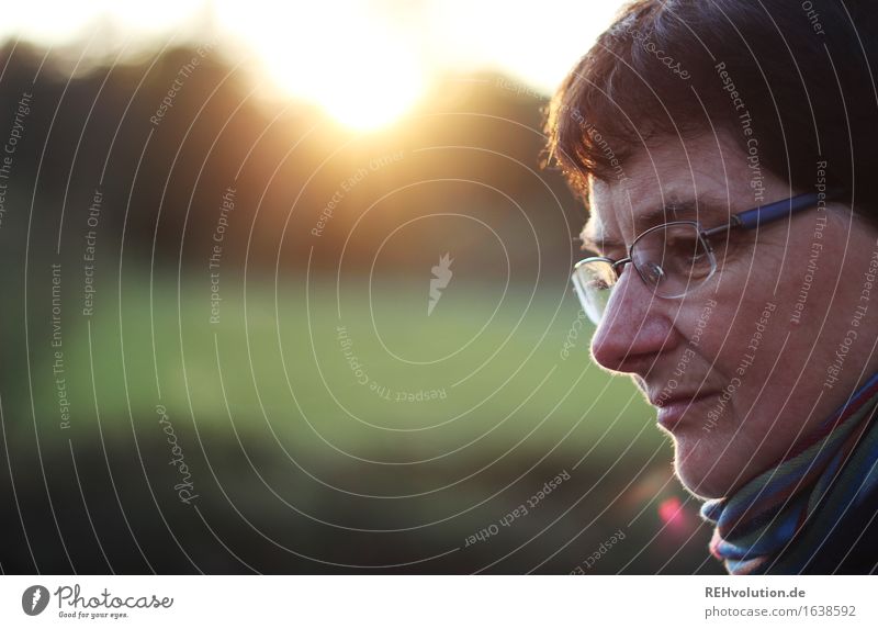 abendspaziergang Mensch Frau Erwachsene Weiblicher Senior 1 60 und älter Umwelt Natur Landschaft Pflanze Park Brille kurzhaarig alt grün Verantwortung achtsam