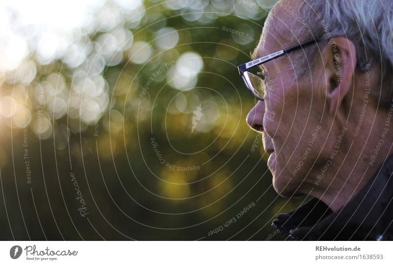 Senior im Profil mit Brille Mensch maskulin Mann Erwachsene Männlicher Senior 1 60 und älter Umwelt Natur Landschaft Baum Park grauhaarig beobachten alt