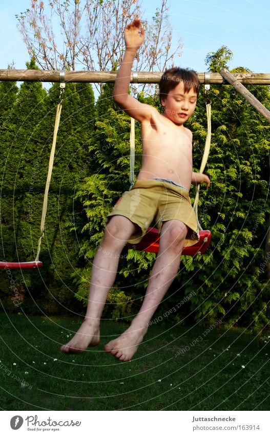 Und ab - Kamikaze Farbfoto Außenaufnahme Tag Vorderansicht Blick nach unten Freude Leben Spielen Kinderspiel schaukeln Sommer Garten Mensch maskulin Junge