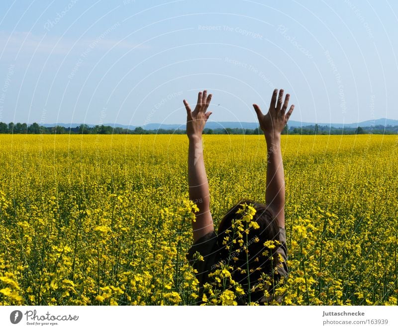 Guten Morgen Sommer Farbfoto Außenaufnahme Tag Sonnenlicht Freude Leben harmonisch Kind Junge Kopf Arme Hand Natur Schönes Wetter Pflanze Feld Blühend entdecken