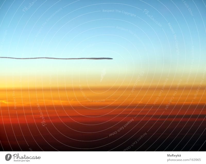 Es fleigtet so dahin Farbfoto Luftaufnahme Dämmerung Luftverkehr Himmel Wolken Flugzeug Klima Kondensstreifen Chemtrail Spuren Linien
