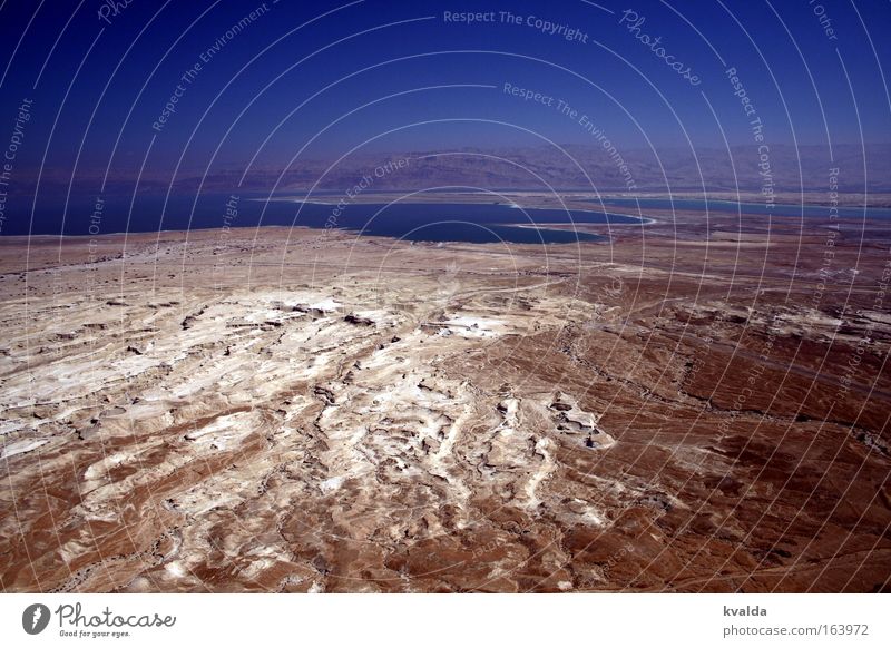 Das Tote Meer Farbfoto Außenaufnahme Luftaufnahme Menschenleer Tag Licht Vogelperspektive Ferien & Urlaub & Reisen Sommer Natur Landschaft Erde Sand Wasser