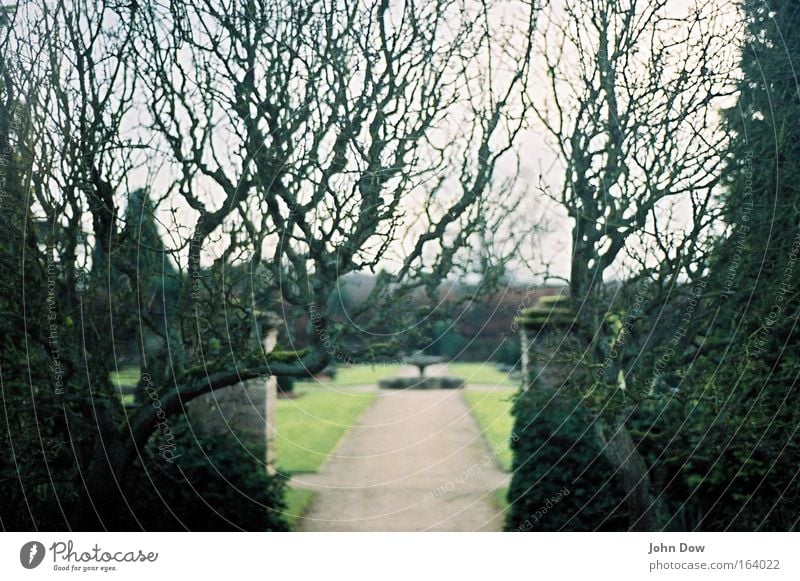 Newstead Abbey (II) Farbfoto Gedeckte Farben Außenaufnahme Strukturen & Formen Spaziergang Spazierweg Garten Kultur Pflanze Baum Gras Sträucher Park Wiese