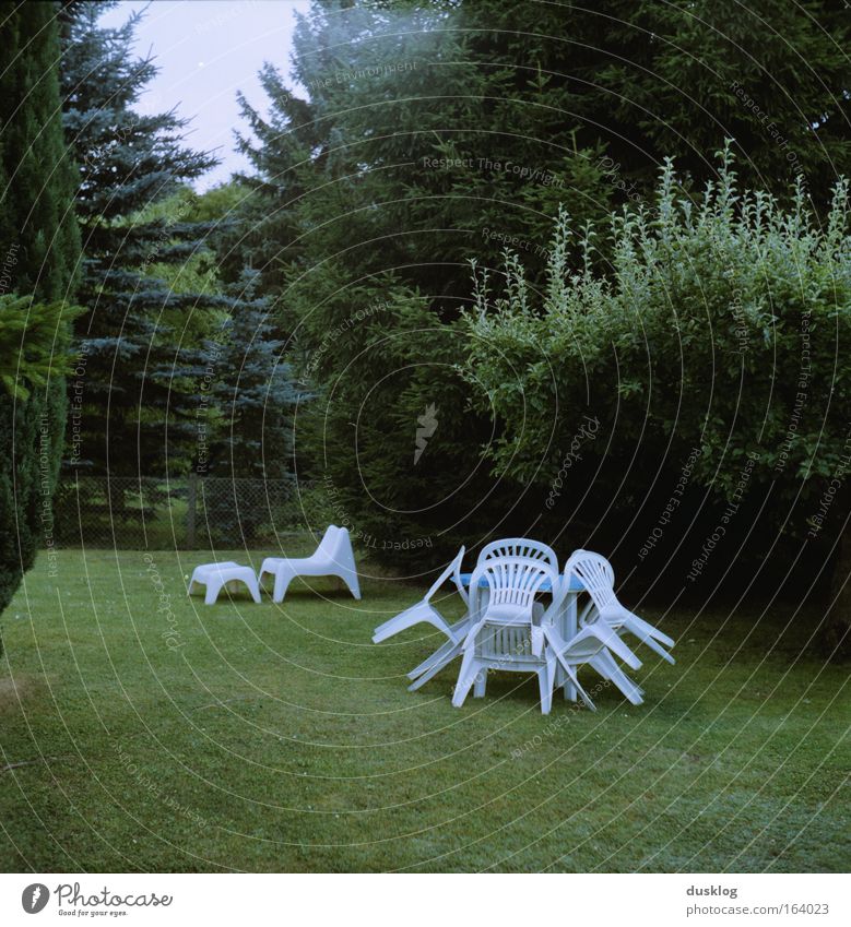 slow down Farbfoto Gedeckte Farben Außenaufnahme Menschenleer Zentralperspektive harmonisch Zufriedenheit Erholung Garten Umwelt Natur Landschaft Sommer Pflanze