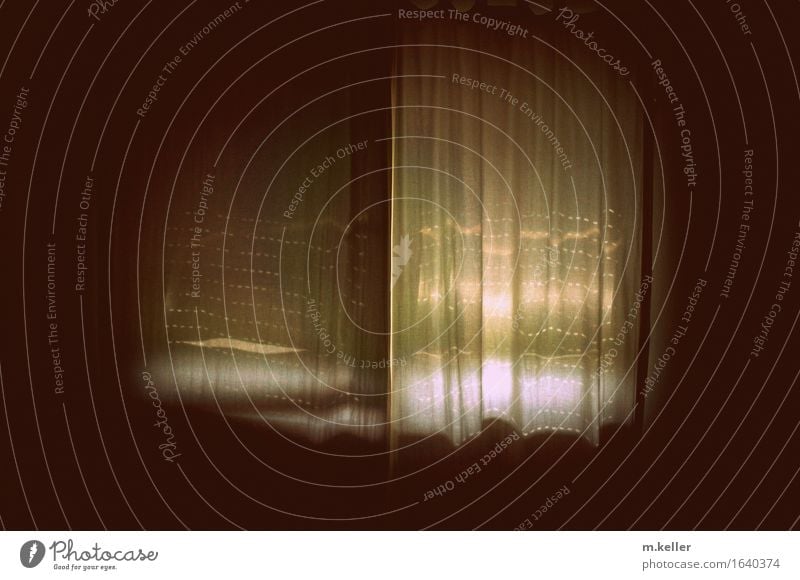 Lichtspiel in einem Fenster bei geschlossenen Gardinen Rolladen Lichteinfall Stimmung träumen Erholung Gedeckte Farben Innenaufnahme Morgen Morgendämmerung