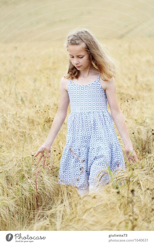 summer feeling Freizeit & Hobby feminin Kind Mädchen Kindheit 1 Mensch 8-13 Jahre Sommer Feld Kleid blond langhaarig berühren Denken gehen träumen schön