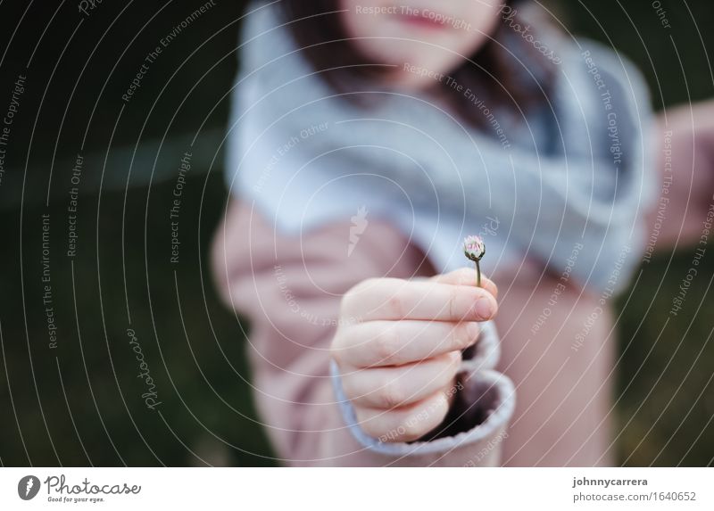 Blumenkind Glück Spielen Kinderspiel Garten Muttertag Kindererziehung Kindergarten Mädchen Schwester Familie & Verwandtschaft Kindheit Hand Finger 1 Mensch