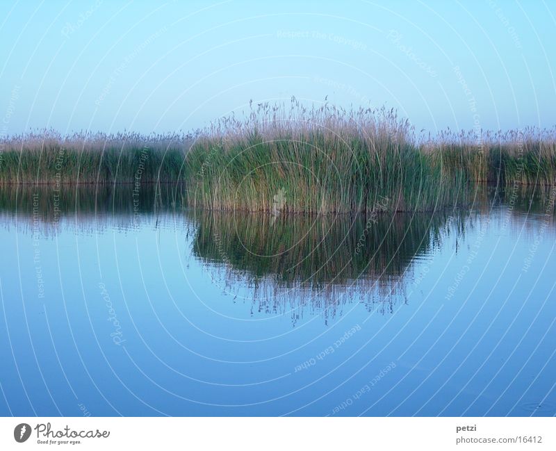 Schilfspiegelung Wasser Himmel See oben unten blau braun grün friedlich Sehnsucht Einsamkeit Idylle Inspiration Steppensee Röhricht Farbfoto mehrfarbig